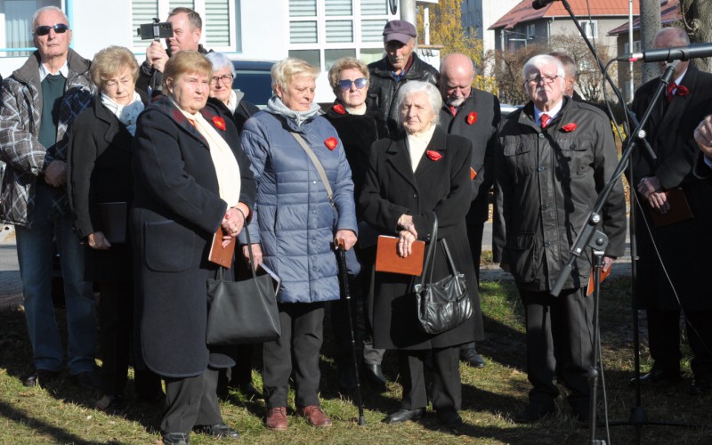 Medzinárodný deň vojnových veteránov, 11. 11. 2024