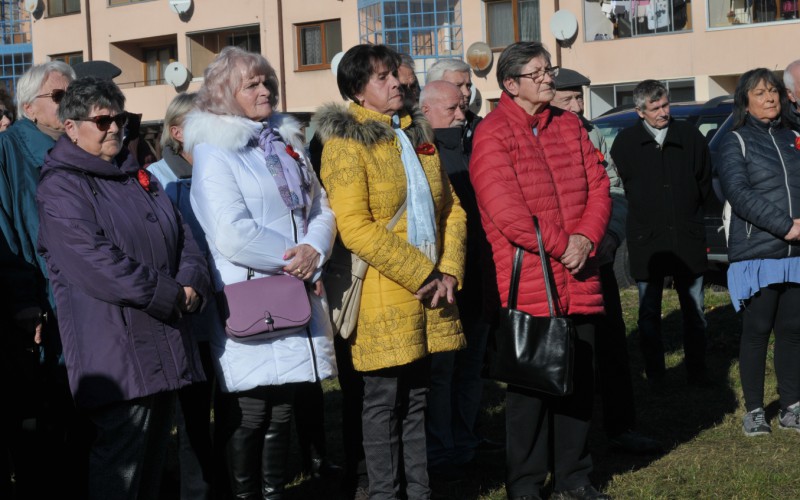 Medzinárodný deň vojnových veteránov, 11. 11. 2024