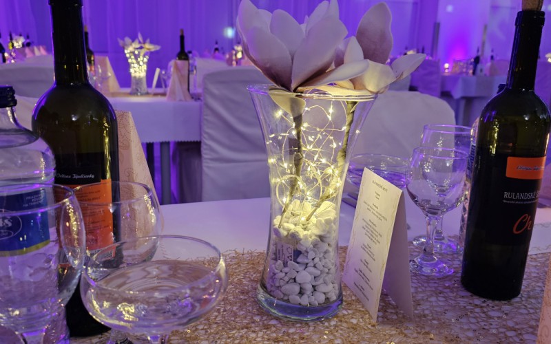 Ples AOS 2025, 08. 02. 2025