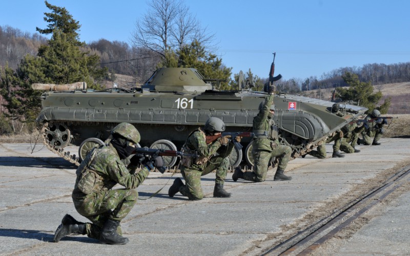 Blokový výcvik kadetov 2. ročníka vo Vojenskom výcvikovom priestore Kamenica nad Cirochou , 12. 02. 2025