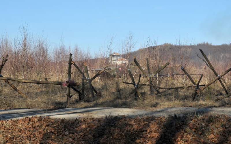 Blokový výcvik kadetov 2. ročníka vo Vojenskom výcvikovom priestore Kamenica nad Cirochou , 12. 02. 2025
