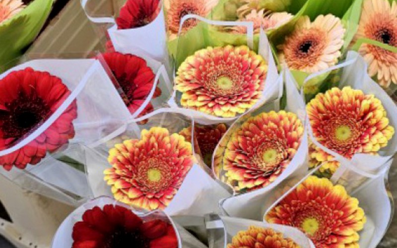 Medzinárodný deň žien na Akadémii ozbrojených síl, 10. 03. 2025