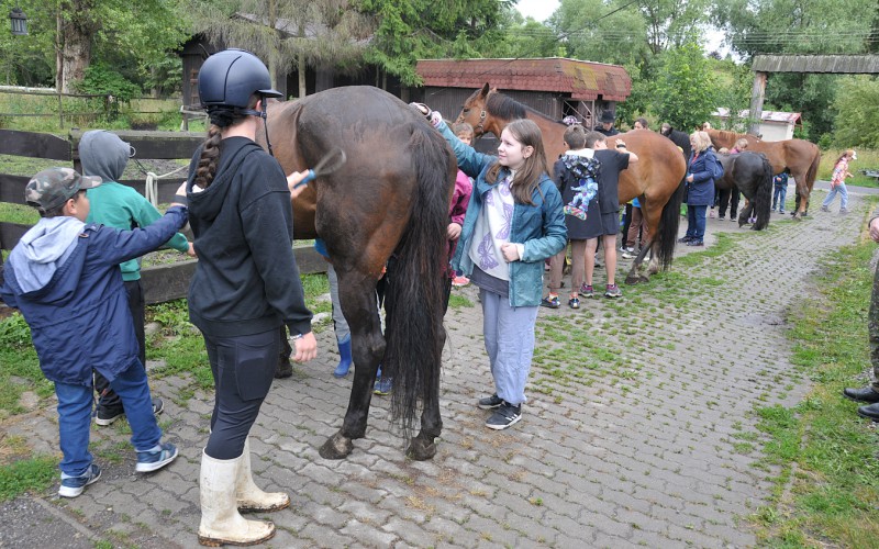 Biblický tábor - štvrtok s koňmi, 10. 7. 2025