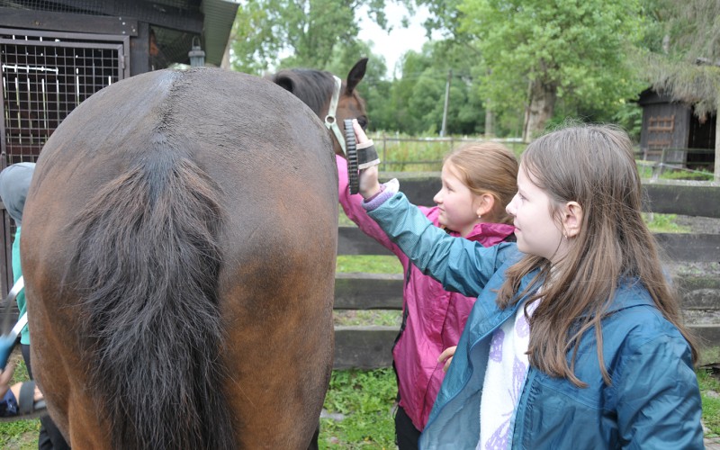 Biblický tábor - štvrtok s koňmi, 10. 7. 2025