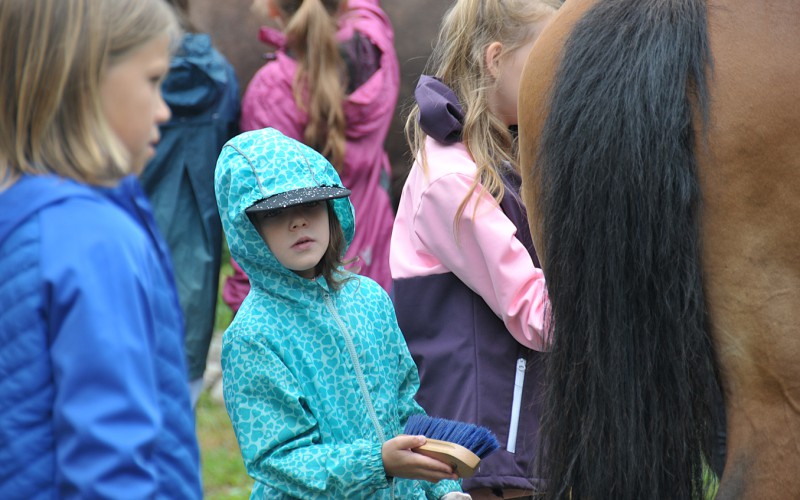 Biblický tábor - štvrtok s koňmi, 10. 7. 2025