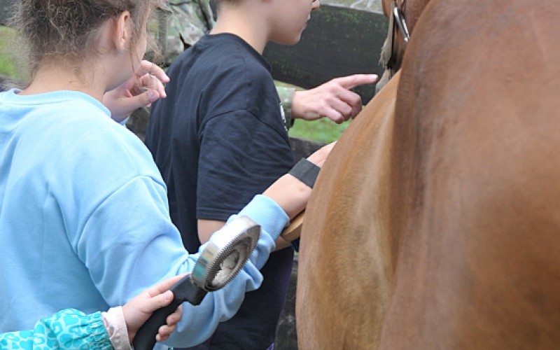 Biblický tábor - štvrtok s koňmi, 10. 7. 2025
