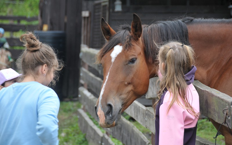 Biblický tábor - štvrtok s koňmi, 10. 7. 2025