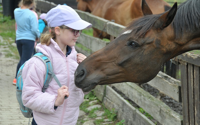 Biblický tábor - štvrtok s koňmi, 10. 7. 2025