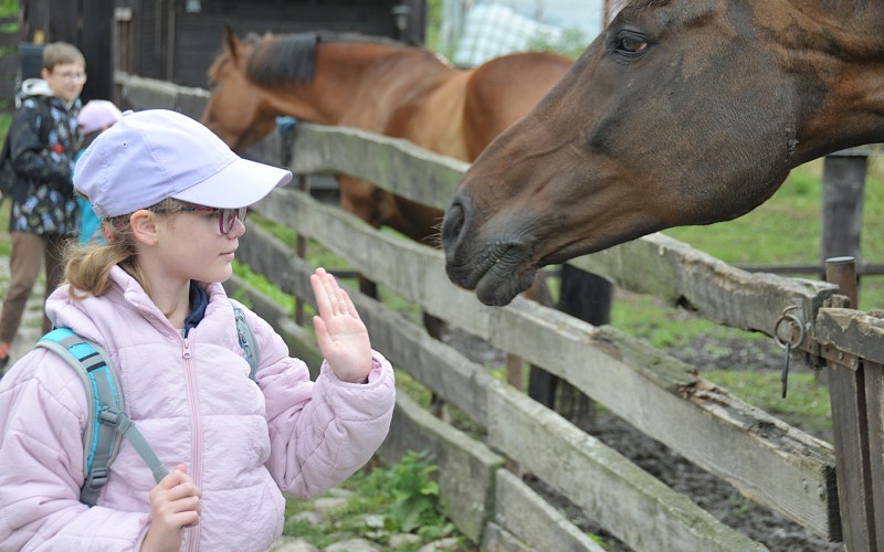 Biblický tábor - štvrtok s koňmi, 10. 7. 2025