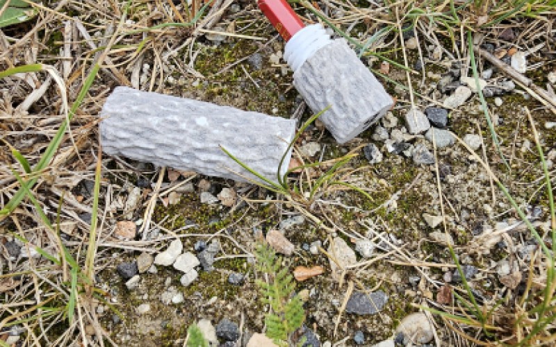 Detská univerzita, utorok 15. 7. 2025