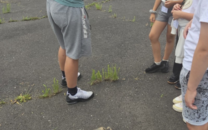 Detská univerzita, utorok 15. 7. 2025