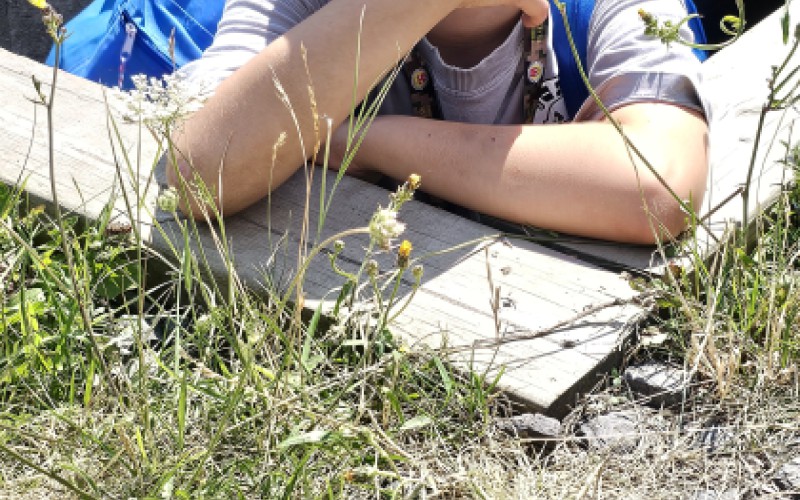 Detská univerzita, utorok 15. 7. 2025