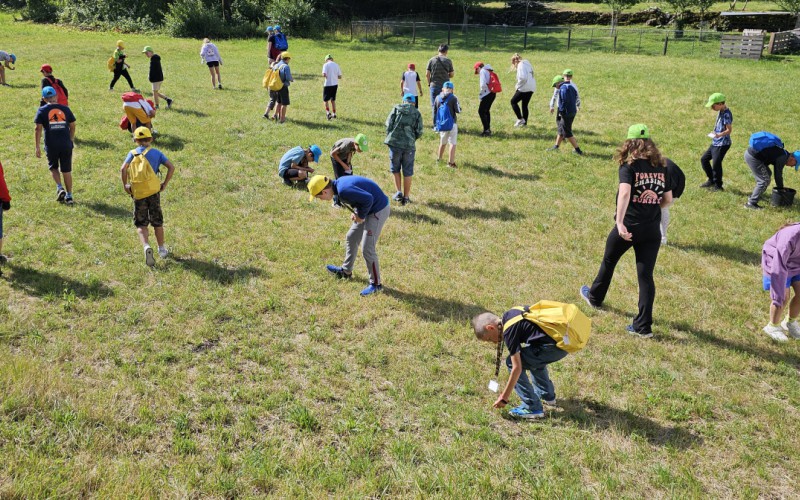 Children's University, Wednesday, July 16th 2025