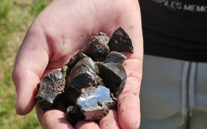 Children's University, Wednesday, July 16th 2025