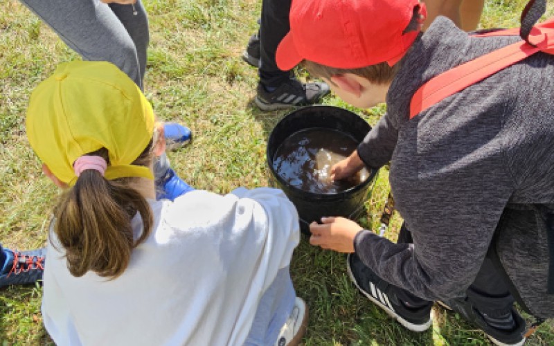 Children's University, Wednesday, July 16th 2025