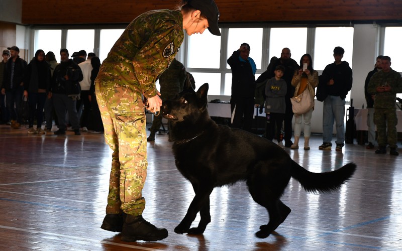 Deň otvorených dverí 7. 11. 2025