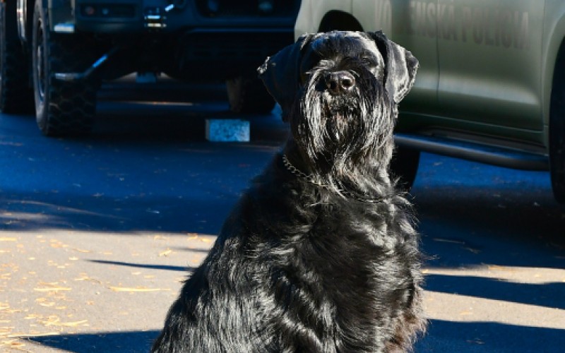 Deň otvorených dverí 7. 11. 2025