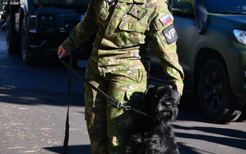 Deň otvorených dverí 7. 11. 2025