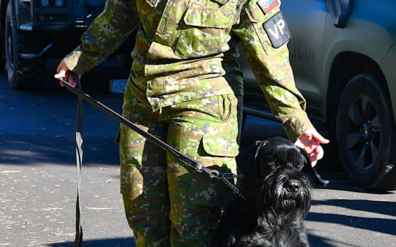 Deň otvorených dverí 7. 11. 2025