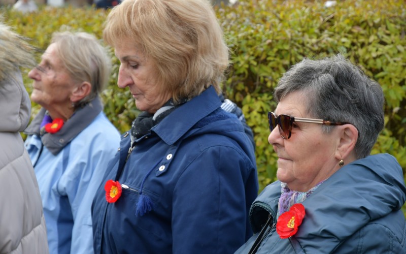 Medzinárodný deň vojnových veteránov 11. 11. 2025