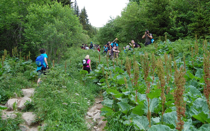 Veteran climb to the Low Tatra’s highest peak - Ďumbier, June 25th 2022