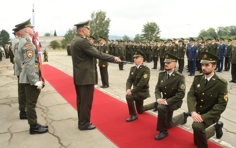 Military parade, July 8th 2022