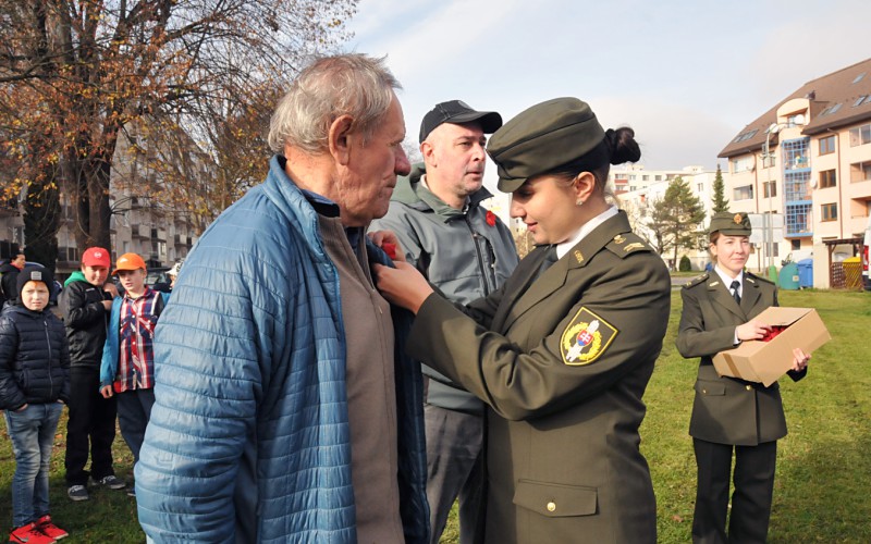 International Day of War Veterans, November 11th 2022