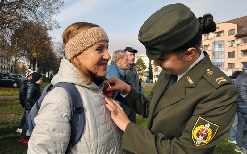 International Day of War Veterans, November 11th 2022