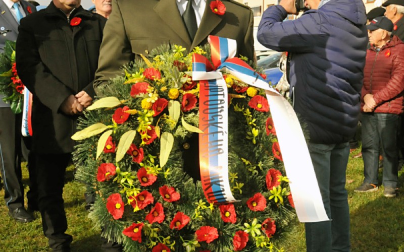 International Day of War Veterans, November 11th 2022